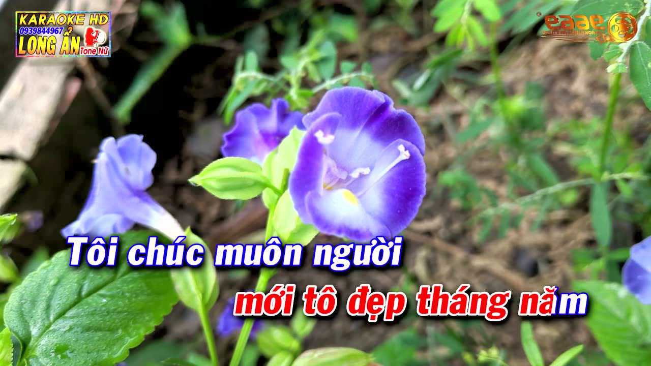 quay hũ an toàn Đà Nẵng rút tiền